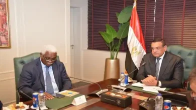 وزير التنمية المحلية يلتقى سكرتير عام منظمة المدن والحكومات المحلية الأفريقية