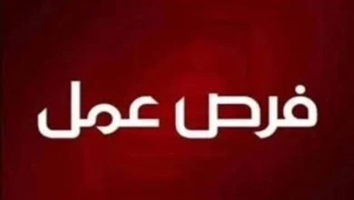 فوراً .. مطلوب أنسات للعمل سكرتارية لجمعية البرنامج الخيري بمصر الجديدة