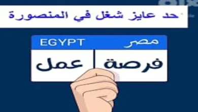 فوراً .. مطلوب لشركة بالمنصورة مدير ومحاضر تسويق الكترونى خبرة