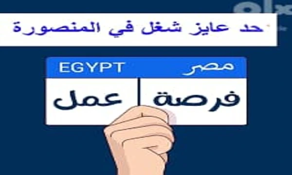 فوراً .. مطلوب لشركة بالمنصورة مدير ومحاضر تسويق الكترونى خبرة