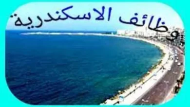 فوراً .. مطلوب أنسات و شباب للعمل بمحلات أحذية بالإسكندرية