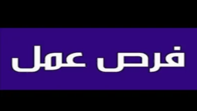 فوراً .. مطلوب مسوقين موازين أونلاين و ميادين بعمولات مجزية