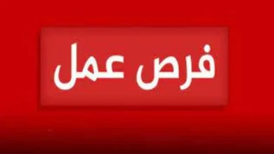 للتعيين فوراً .. مطلوب مدرسات للعمل بحضانة بمدينة نصر