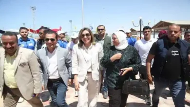 وزيرة الثقافة توجه بتسيير قوافل المكتبات المتنقلة لقرية شهداء الروضة وتزويد مكتبات المدارس بإصدارات الوزارة