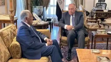وزير الخارجية يستقبل المبعوث الخاص لرئيس مجلس السيادة السوداني
