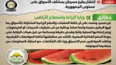 الحكومة تنفي شائعة انتشار بطيخ مسرطن بمختلف الأسواق على مستوى الجمهورية