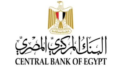 البنك المركزي المصري يُحدث قواعد الترخيص والرقابة والإشراف على شركات الصرافة