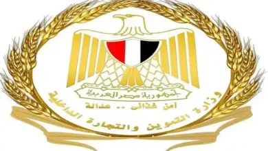 وزير التموين : وصول نسب توريد القمح المحلي إلى 1.2 مليون طن