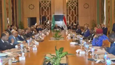 وزير الخارجية يلتقي السفراء الأفارقة بمناسبة يوم إفريقيا