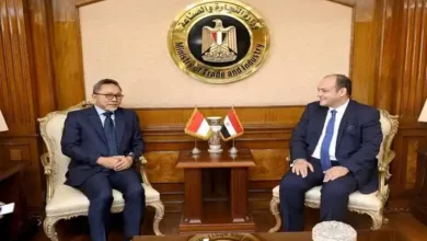 وزير التجارة والصناعة ونظيره الإندونيسي يبحثان سبل تعزيز التعاون المشترك بين البلدين خلال المرحلة المقبلة
