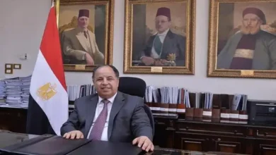 ١٠ أيام فقط وتنتهى مبادرة "تيسير استيراد سيارات المصريين بالخارج"