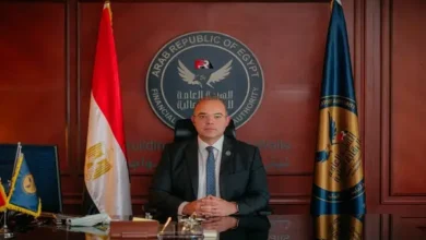 الرقابة المالية تقرر زيادة الحد الأقصى لتمويل المشروعات متناهية الصغر إلى 220 ألف جنيه