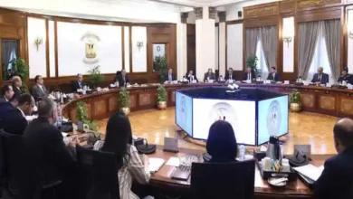 مدبولي يبحث تعظيم الاستفادة من الثروة التعدينية بمصر في توطين الصناعات التكنولوجية الدقيقة